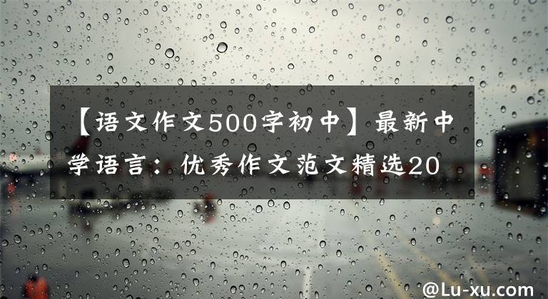 【语文作文500字初中】最新中学语言：优秀作文范文精选20篇！包括评论，给孩子上一课