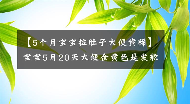 【5个月宝宝拉肚子大便黄稀】宝宝5月20天大便金黄色是发软是拉肚子吗？孩子涨肚能吃抗生素药物吗？