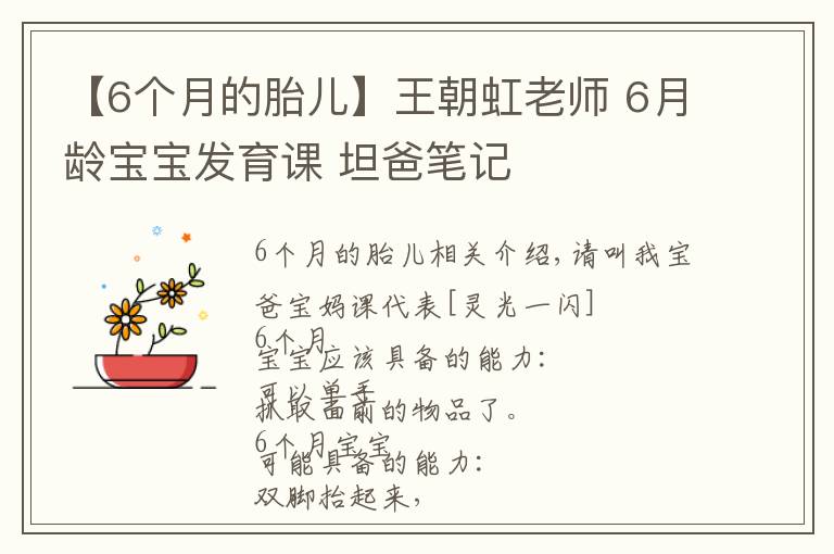 【6个月的胎儿】王朝虹老师 6月龄宝宝发育课 坦爸笔记