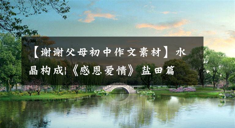 【谢谢父母初中作文素材】水晶构成|《感恩爱情》盐田篇