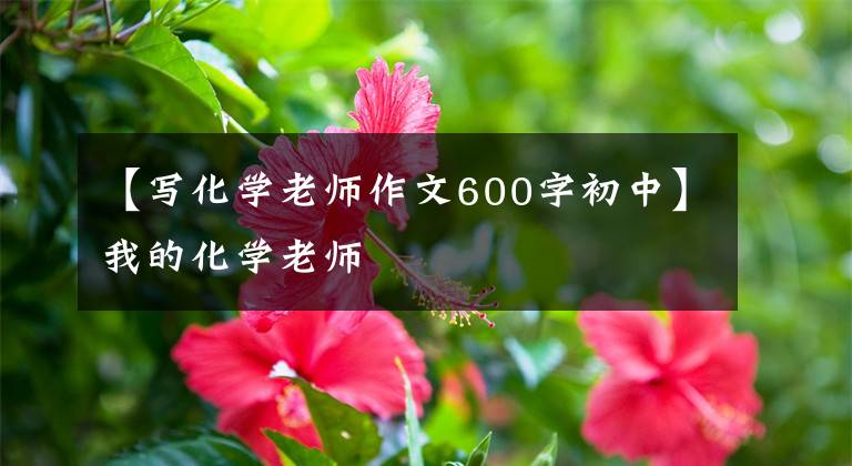 【写化学老师作文600字初中】我的化学老师