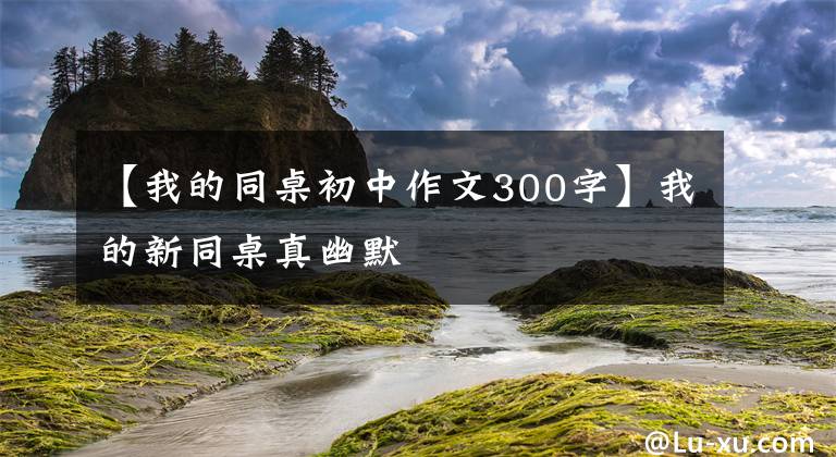 【我的同桌初中作文300字】我的新同桌真幽默