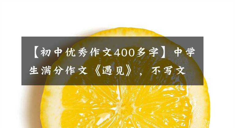 【初中优秀作文400多字】中学生满分作文《遇见》，不写文章就变身事物，构思惊人。