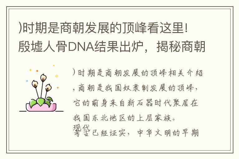 )时期是商朝发展的顶峰看这里!殷墟人骨DNA结果出炉，揭秘商朝后裔地理分布，网友：有点意外