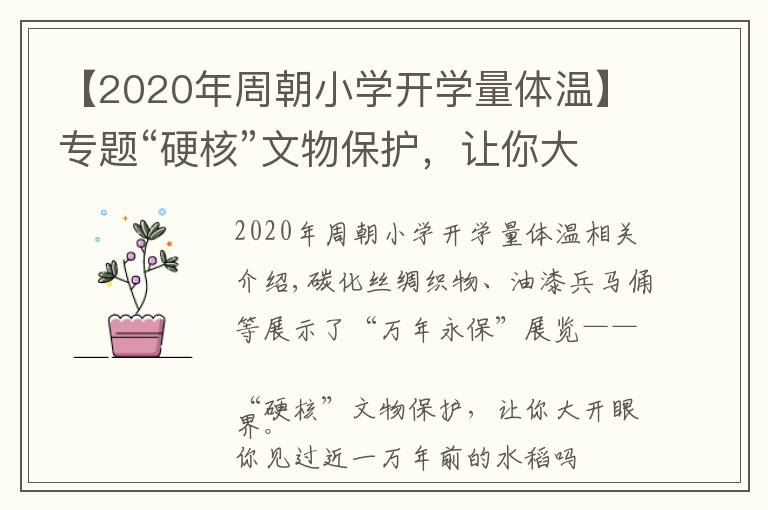 【2020年周朝小学开学量体温】专题“硬核”文物保护，让你大开眼界