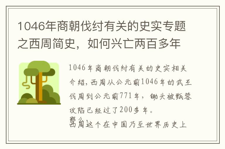 1046年商朝伐纣有关的史实专题之西周简史，如何兴亡两百多年的？