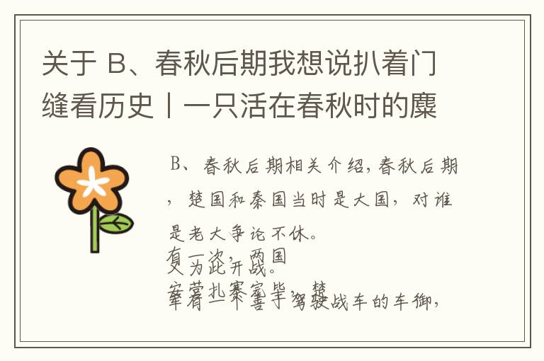 关于 B、春秋后期我想说扒着门缝看历史丨一只活在春秋时的麋鹿会遭遇什么？