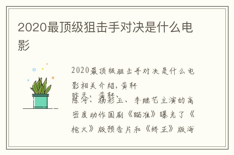 2020最顶级狙击手对决是什么电影