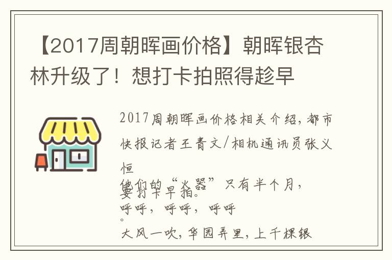 【2017周朝晖画价格】朝晖银杏林升级了！想打卡拍照得趁早