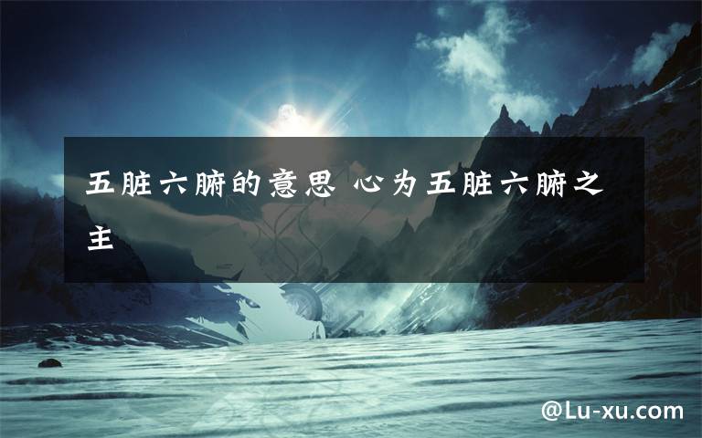 五脏六腑的意思 心为五脏六腑之主文章配图