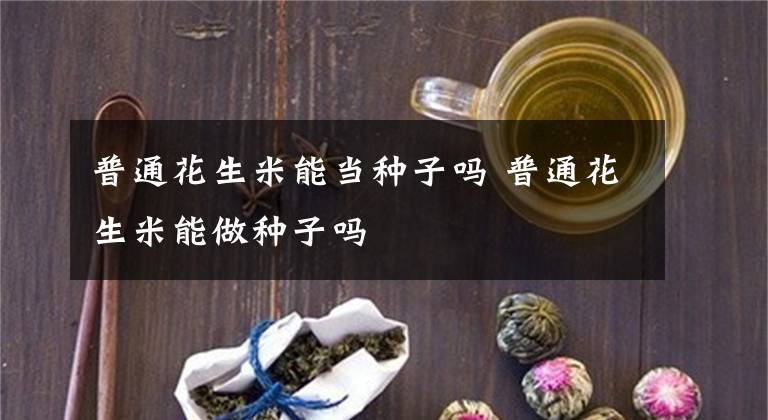 普通花生米能当种子吗 普通花生米能做种子吗