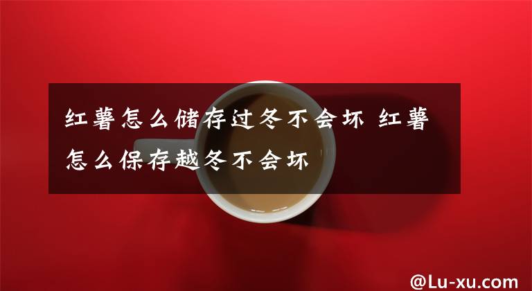红薯怎么储存过冬不会坏 红薯怎么保存越冬不会坏文章配图