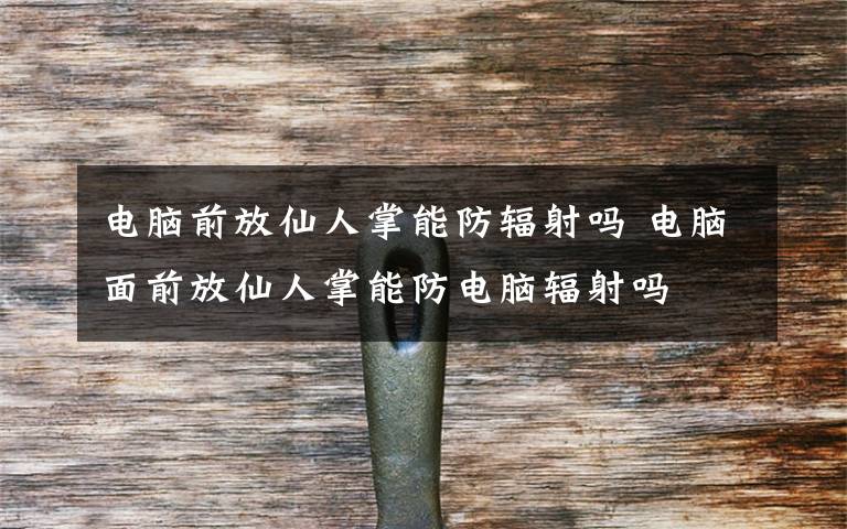 电脑前放仙人掌能防辐射吗 电脑面前放仙人掌能防电脑辐射吗