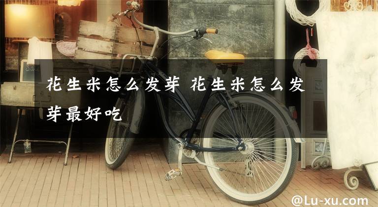 花生米怎么发芽 花生米怎么发芽最好吃文章配图
