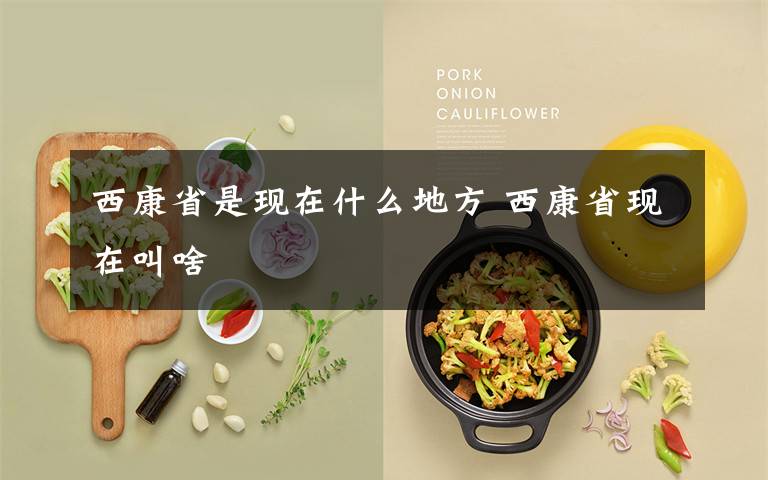 西康省是现在什么地方 西康省现在叫啥文章配图