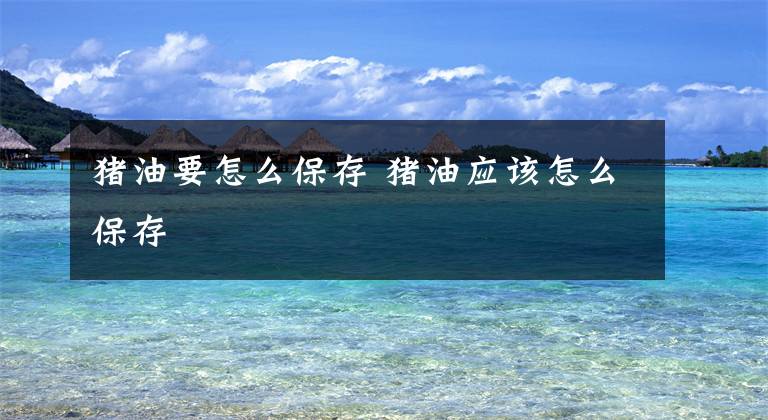 猪油要怎么保存 猪油应该怎么保存文章配图