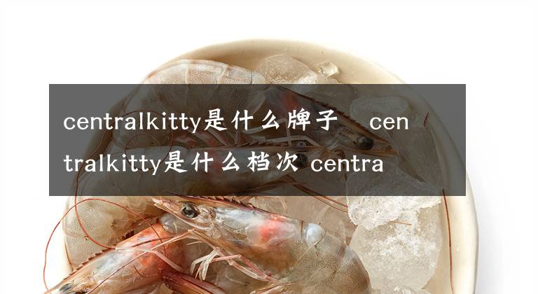 centralkitty是什么牌子 centralkitty是什么档次 centralkitty官方旗舰店文章配图
