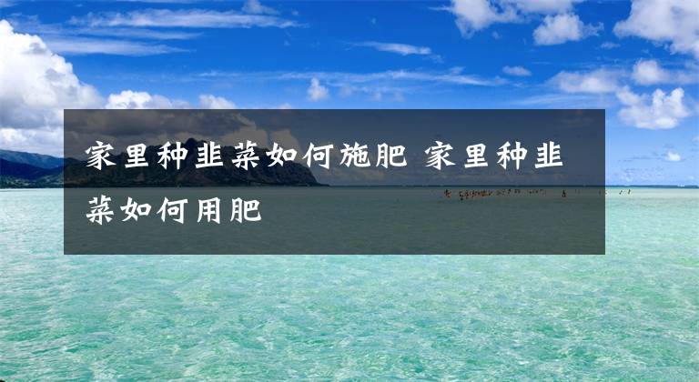 家里种韭菜如何施肥 家里种韭菜如何用肥文章配图