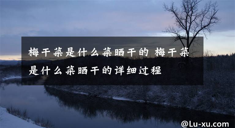 梅干菜是什么菜晒干的 梅干菜是什么菜晒干的详细过程文章配图
