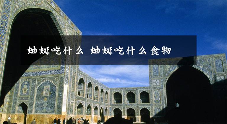 蚰蜒吃什么 蚰蜒吃什么食物文章配图