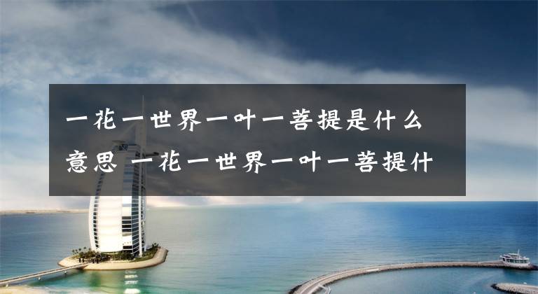 一花一世界一叶一菩提是什么意思 一花一世界一叶一菩提什么意思文章配图