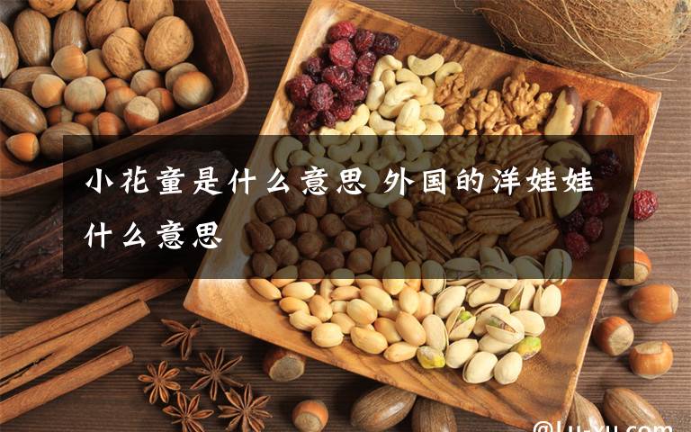 小花童是什么意思 外国的洋娃娃什么意思