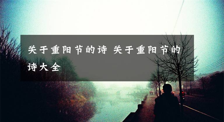 关于重阳节的诗 关于重阳节的诗大全文章配图