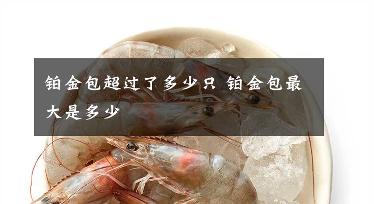 铂金包超过了多少只 铂金包最大是多少文章配图
