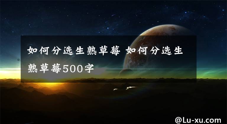 如何分选生熟草莓 如何分选生熟草莓500字文章配图