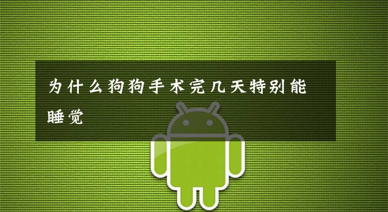 为什么狗狗手术完几天特别能睡觉文章配图