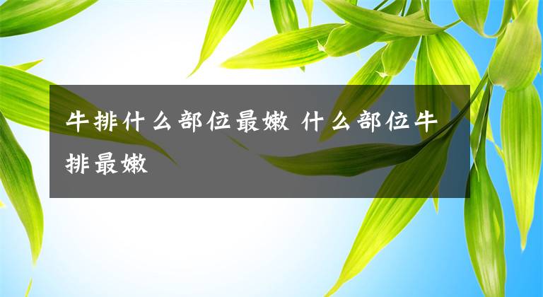 牛排什么部位最嫩 什么部位牛排最嫩文章配图