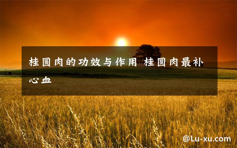 桂圆肉的功效与作用 桂圆肉最补心血文章配图
