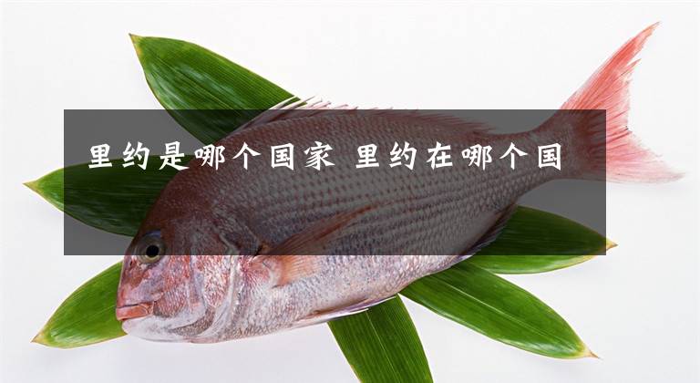 里约是哪个国家 里约在哪个国文章配图