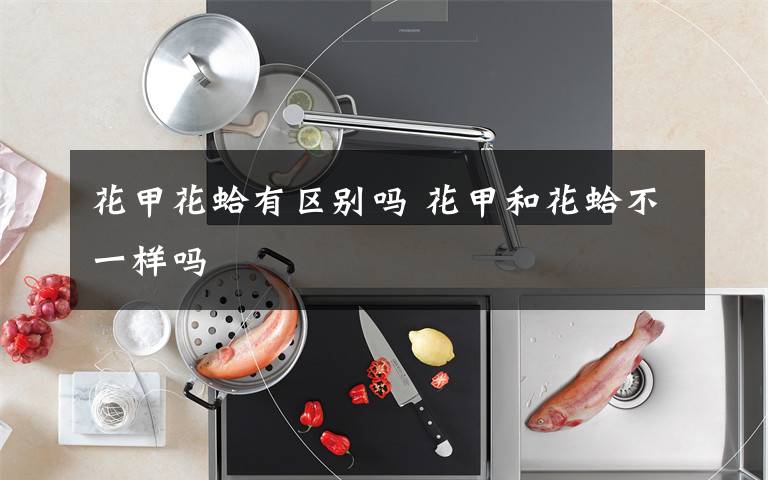 花甲花蛤有区别吗 花甲和花蛤不一样吗