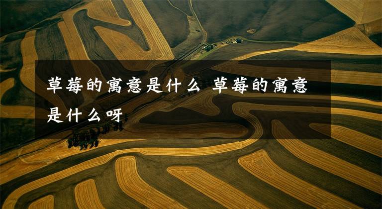 草莓的寓意是什么 草莓的寓意是什么呀文章配图