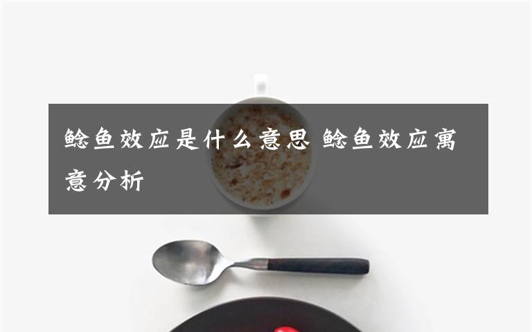 鲶鱼效应是什么意思 鲶鱼效应寓意分析