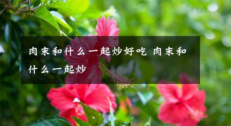 肉末和什么一起炒好吃 肉末和什么一起炒文章配图