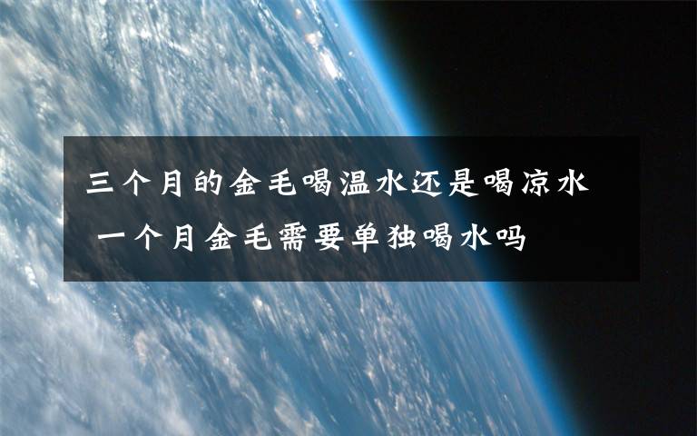 三个月的金毛喝温水还是喝凉水 一个月金毛需要单独喝水吗