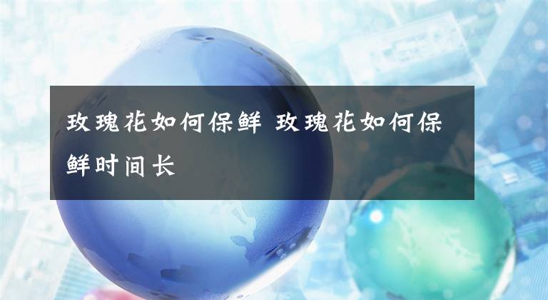 玫瑰花如何保鲜 玫瑰花如何保鲜时间长文章配图