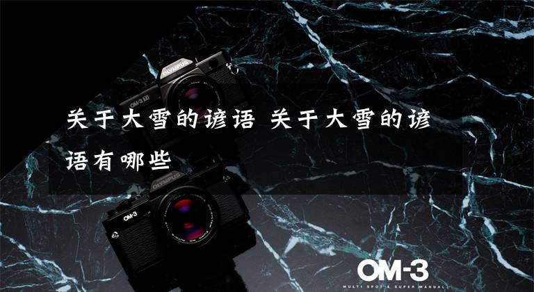 关于大雪的谚语 关于大雪的谚语有哪些文章配图