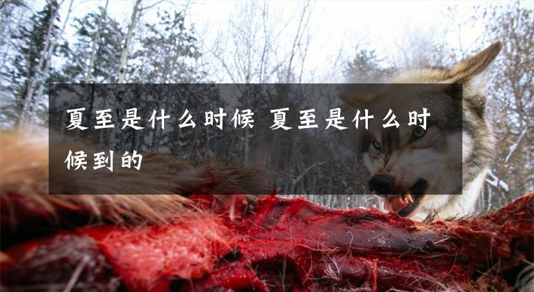 夏至是什么时候 夏至是什么时候到的文章配图