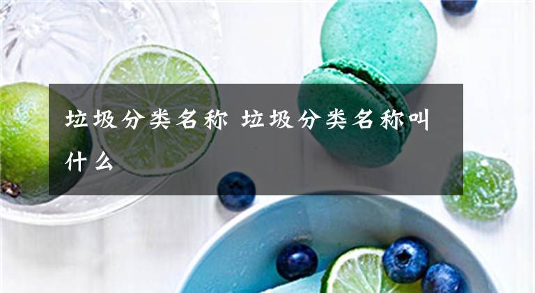 垃圾分类名称 垃圾分类名称叫什么文章配图
