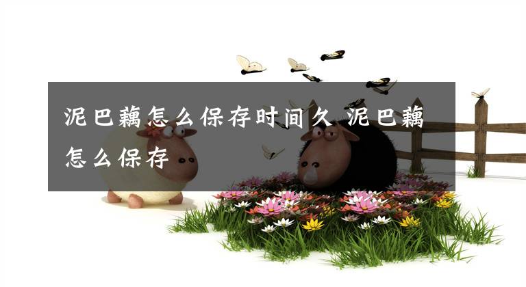泥巴藕怎么保存时间久 泥巴藕怎么保存文章配图