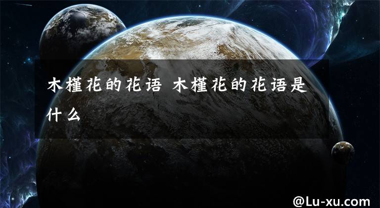 木槿花的花语 木槿花的花语是什么文章配图