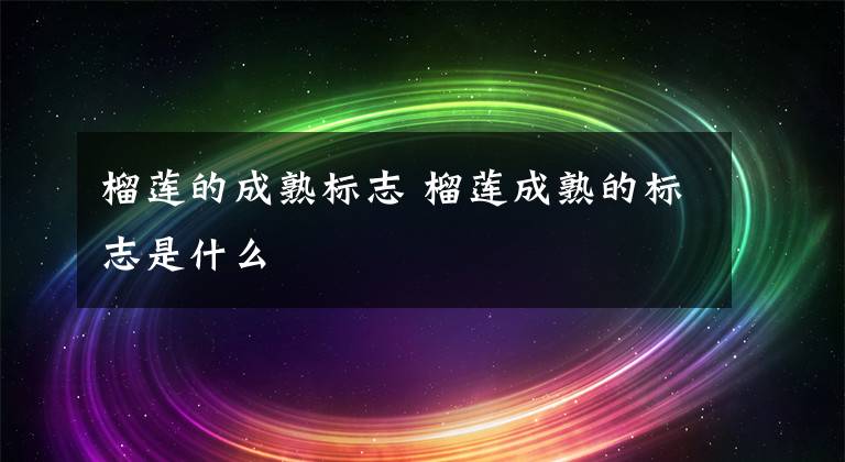 榴莲的成熟标志 榴莲成熟的标志是什么文章配图