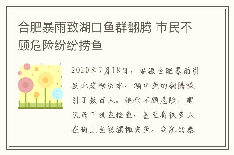 合肥暴雨致湖口鱼群翻腾 市民不顾危险纷纷捞鱼