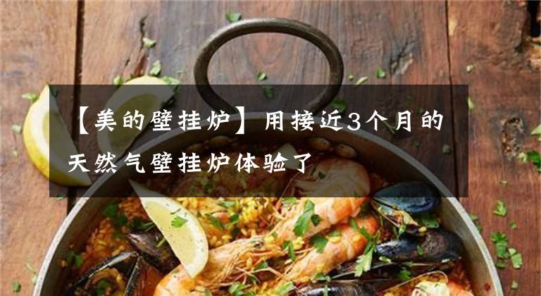 【美的壁挂炉】用接近3个月的天然气壁挂炉体验了文章配图