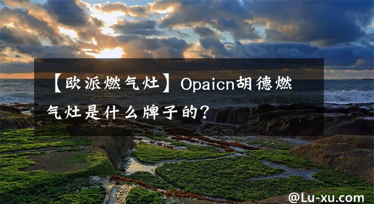 【欧派燃气灶】Opaicn胡德燃气灶是什么牌子的？