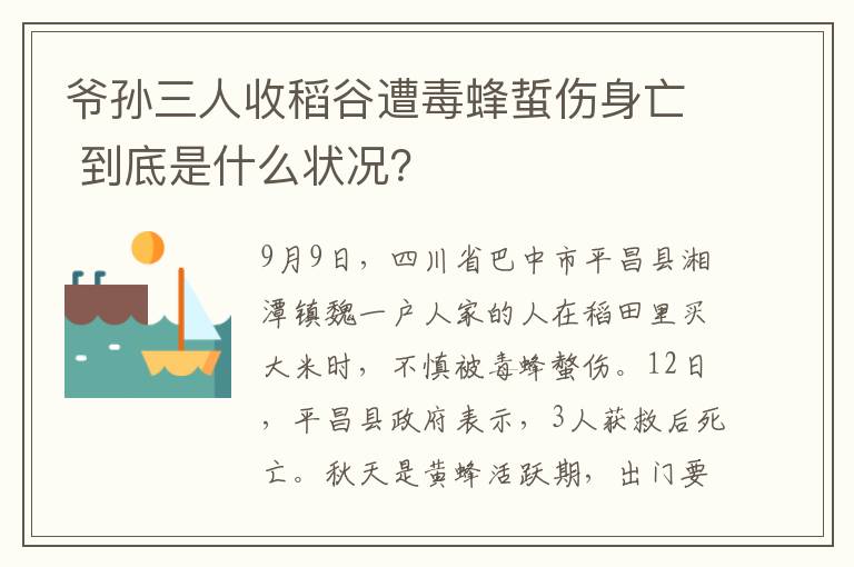 爷孙三人收稻谷遭毒蜂蜇伤身亡 到底是什么状况？