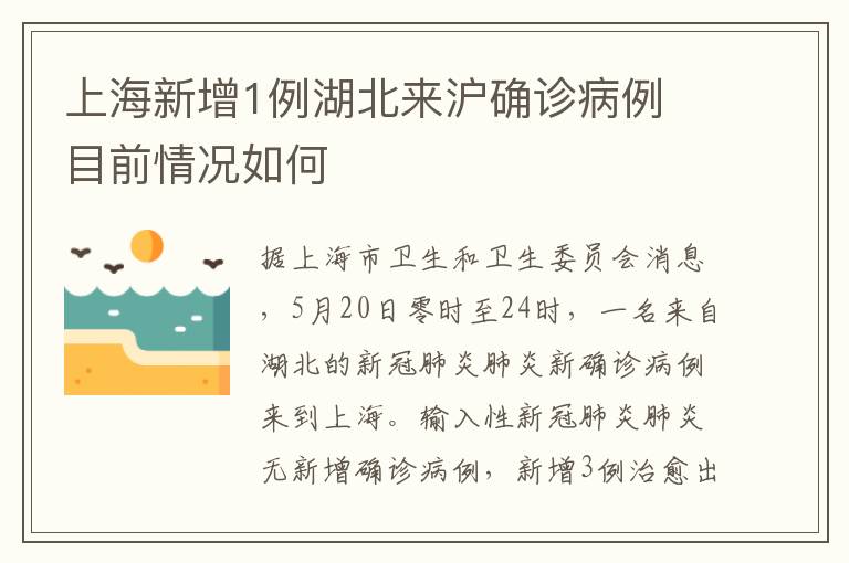 上海新增1例湖北来沪确诊病例 目前情况如何